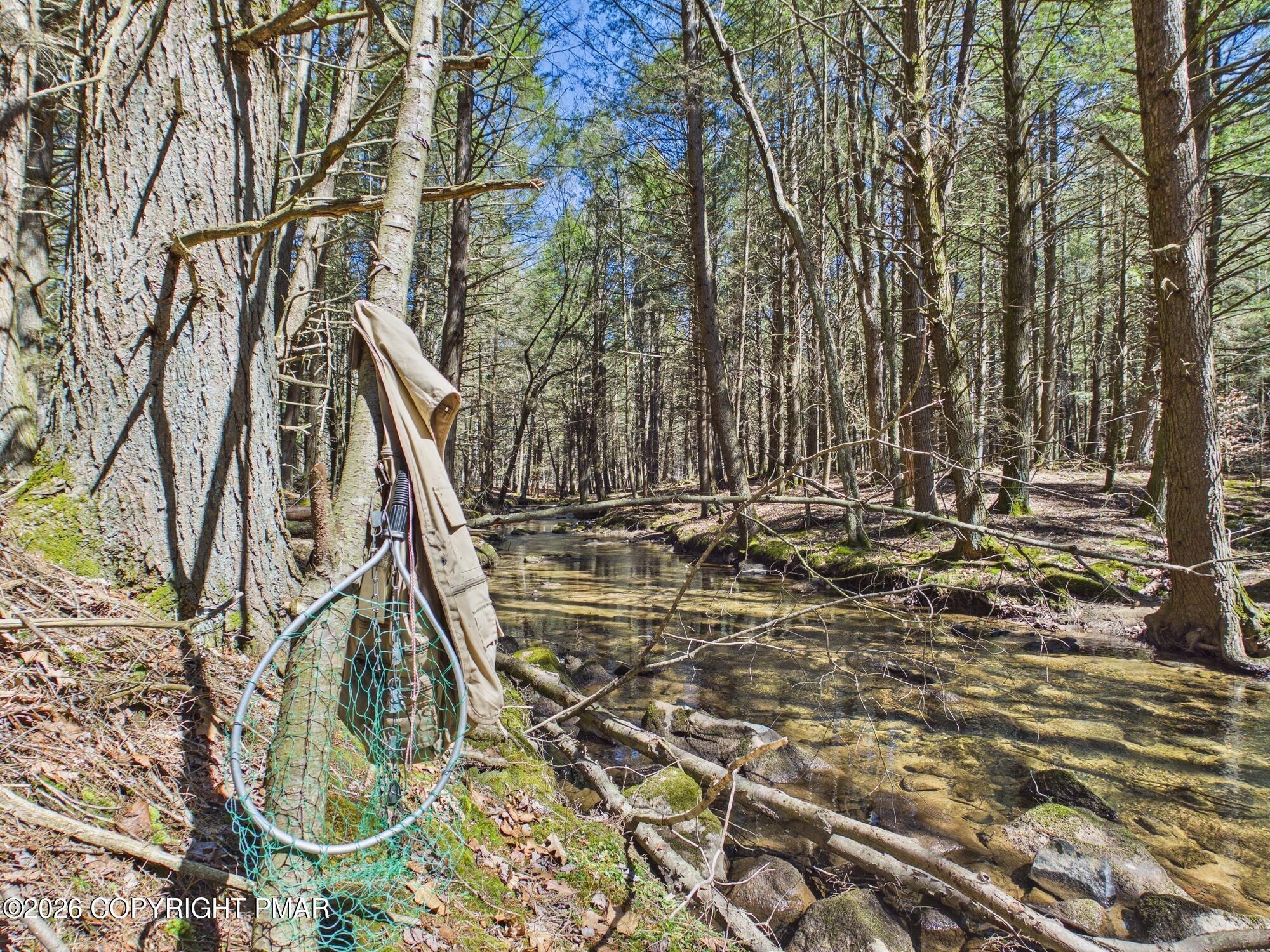 Image 4: Stream