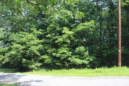 Turkey Ridge Dr 12 Ridge