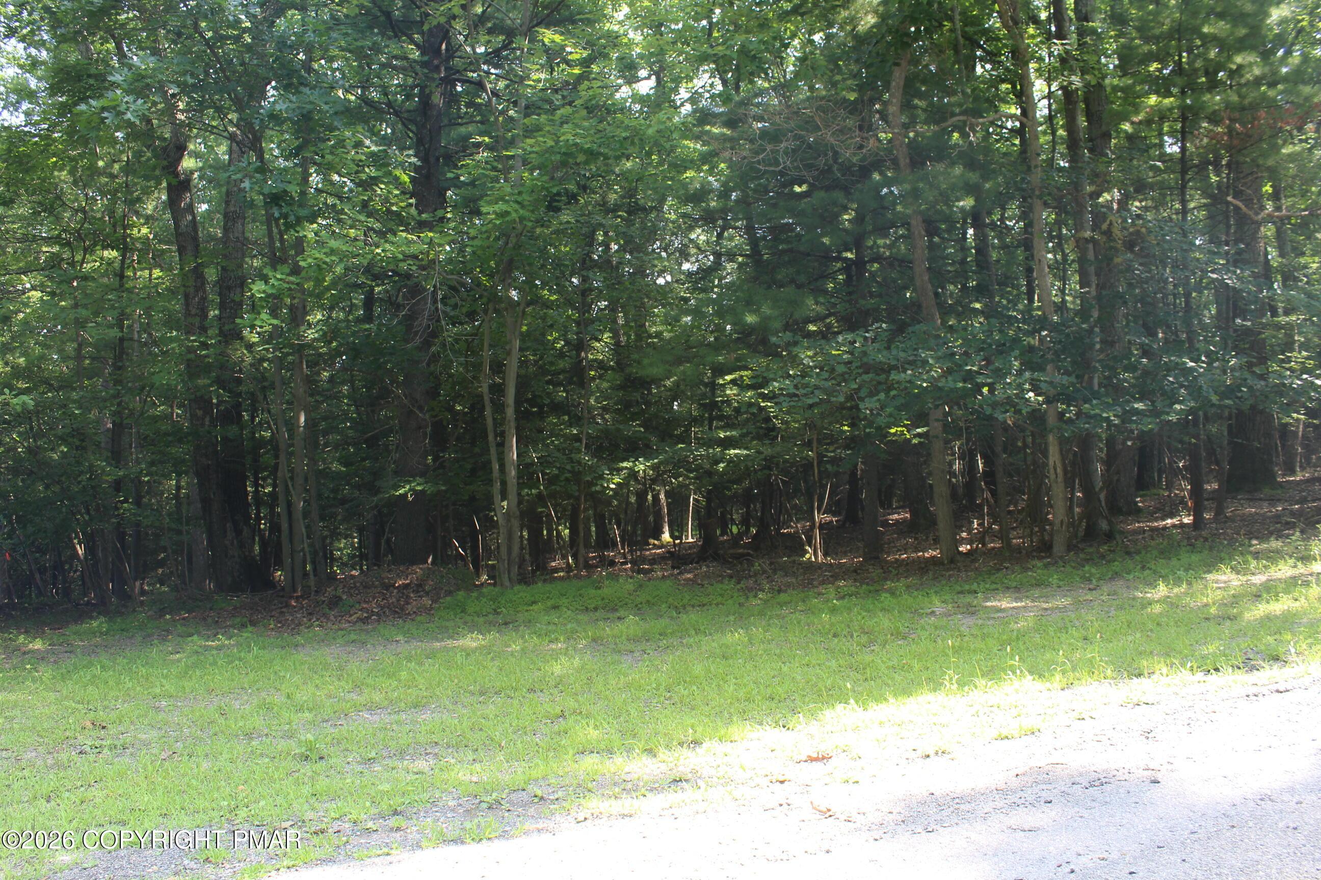 Image 2: IMG_8701