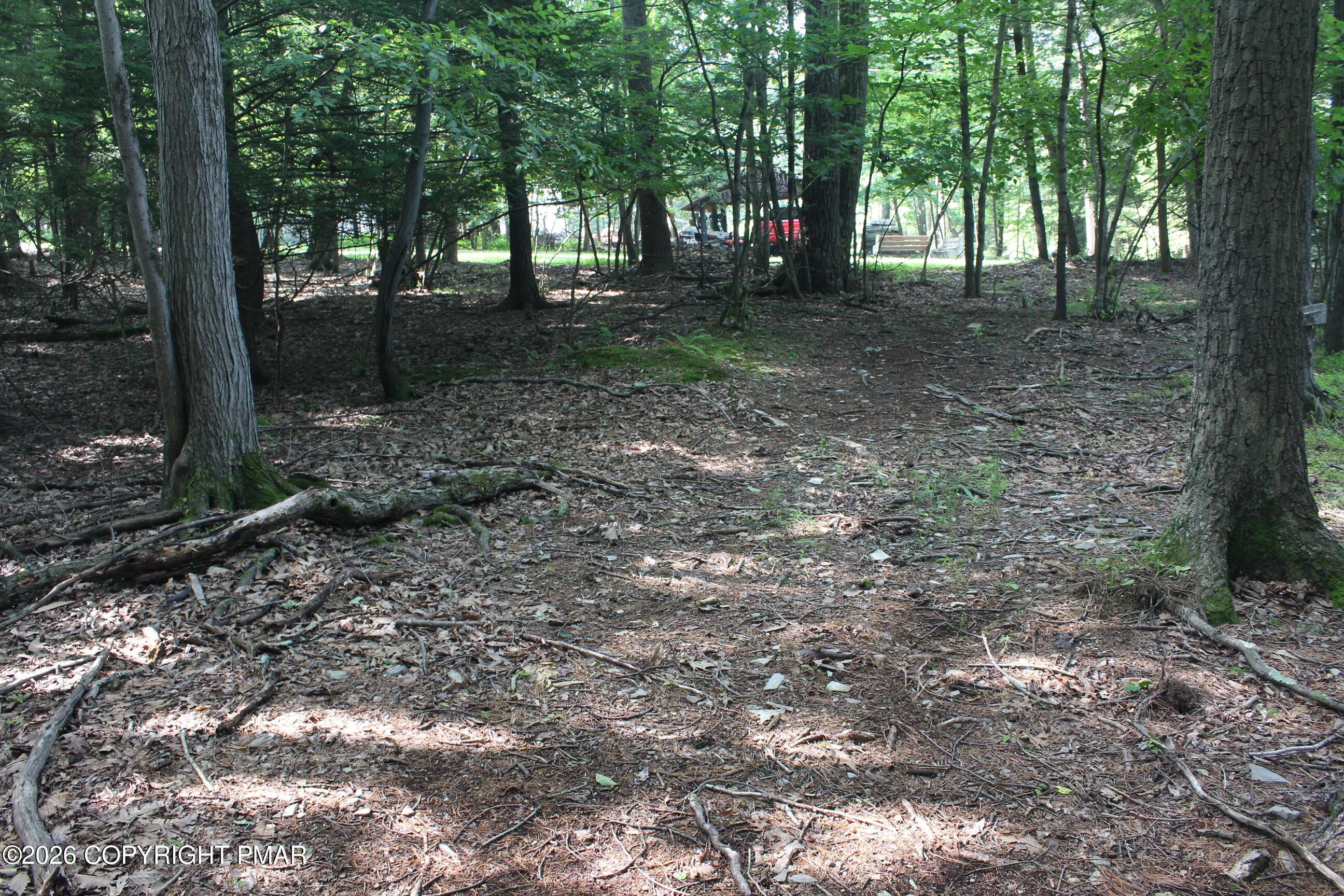 Image 3: IMG_8698