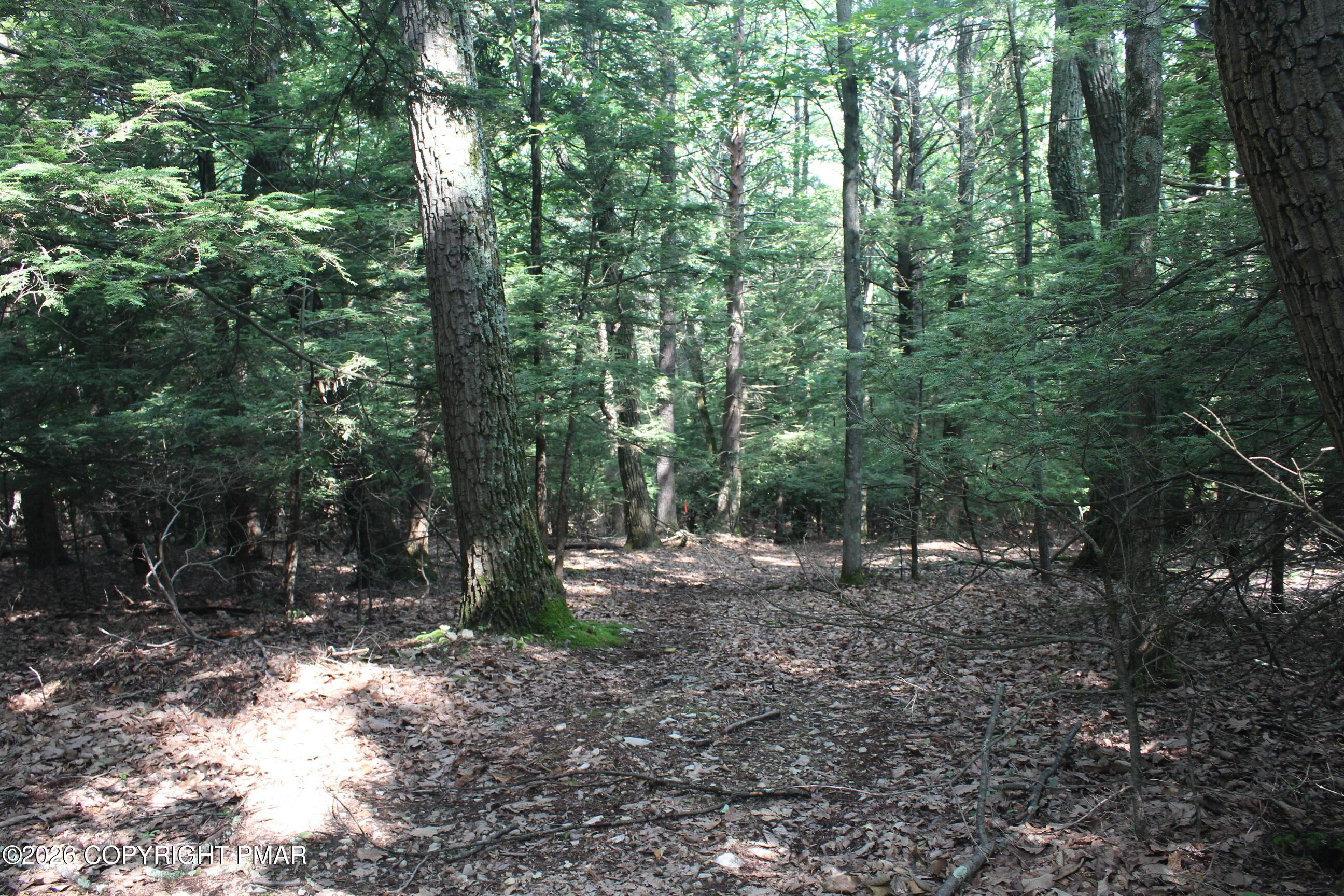 Image 4: IMG_8697