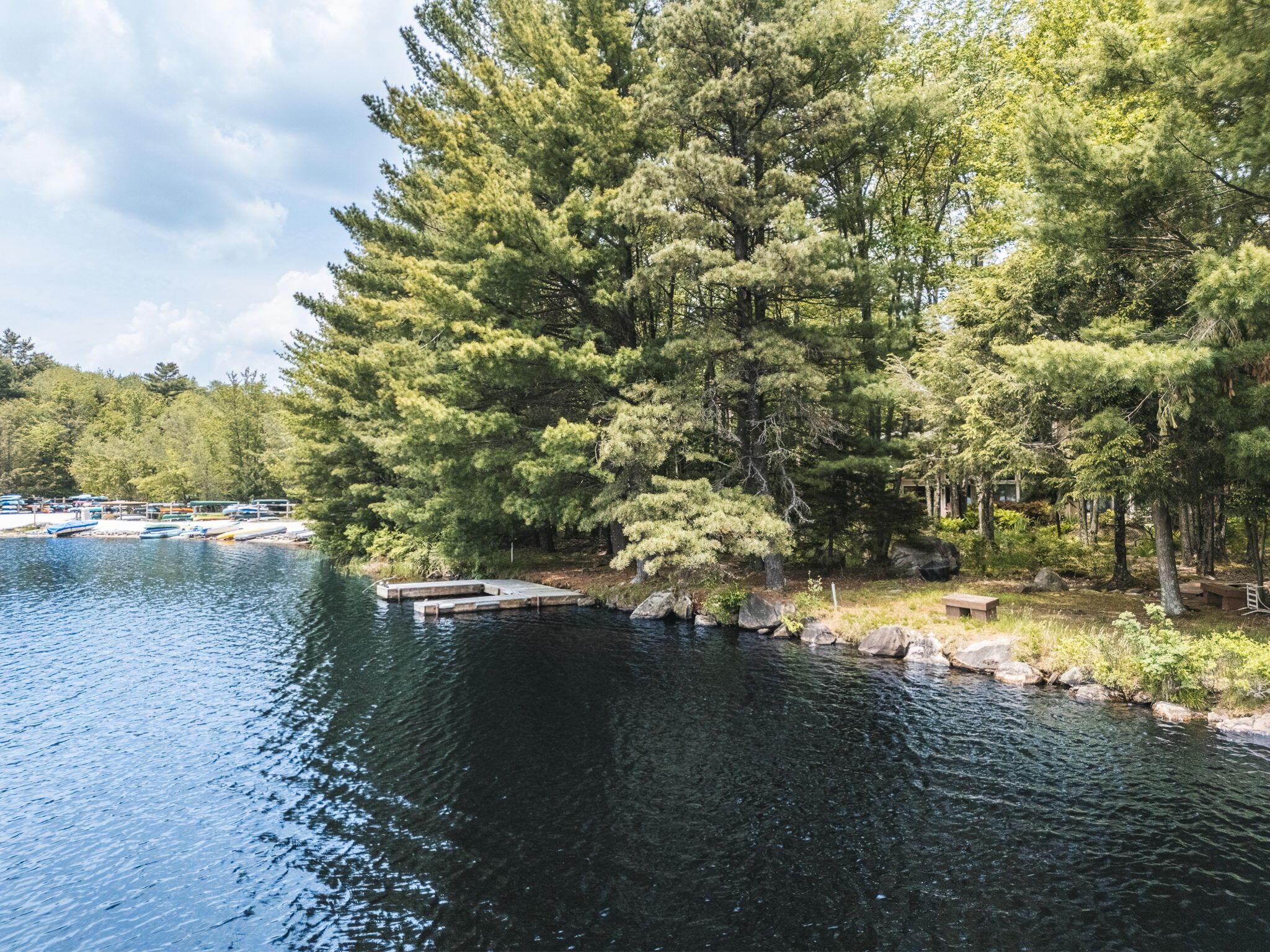 Image 2: 58-web-or-mls-5290 Woodland Ave-58