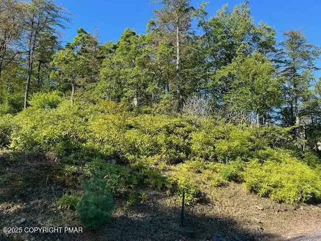 Image 1: Lot Setting