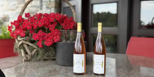 Image 2: Wine From the Vineyard