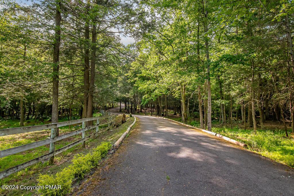 Image 3: Driveway