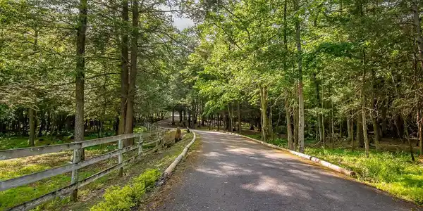 Image 3: Driveway