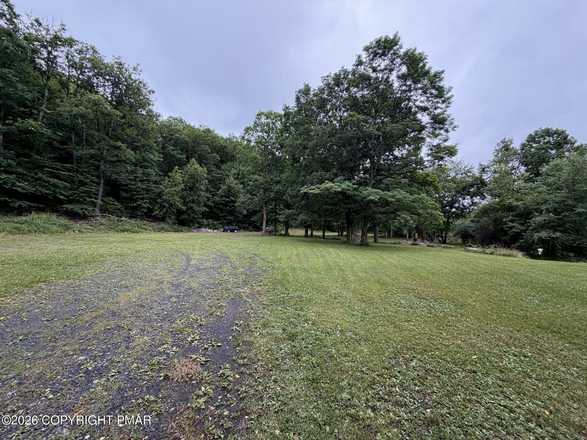 Image 1: yard