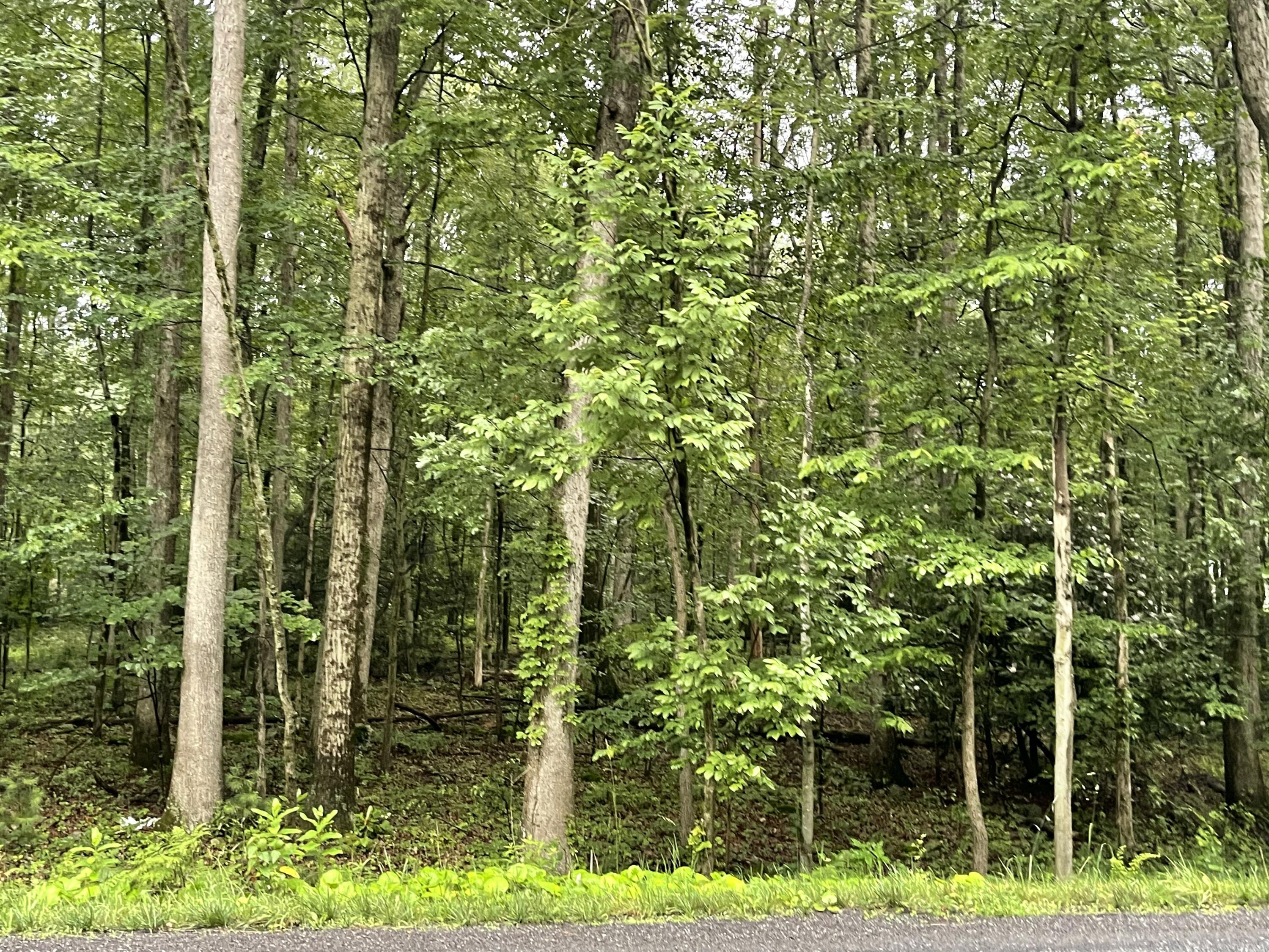Image 3: IMG_9657