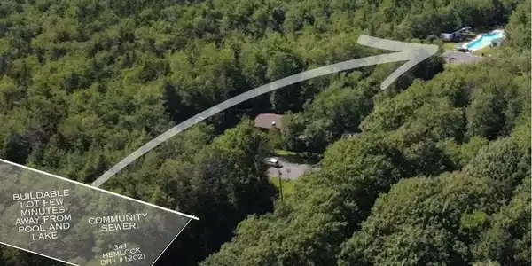 Image 3: 341 Scotch Pine Dr