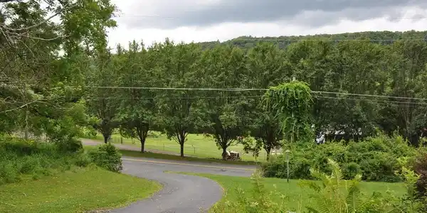 Image 4: View from house