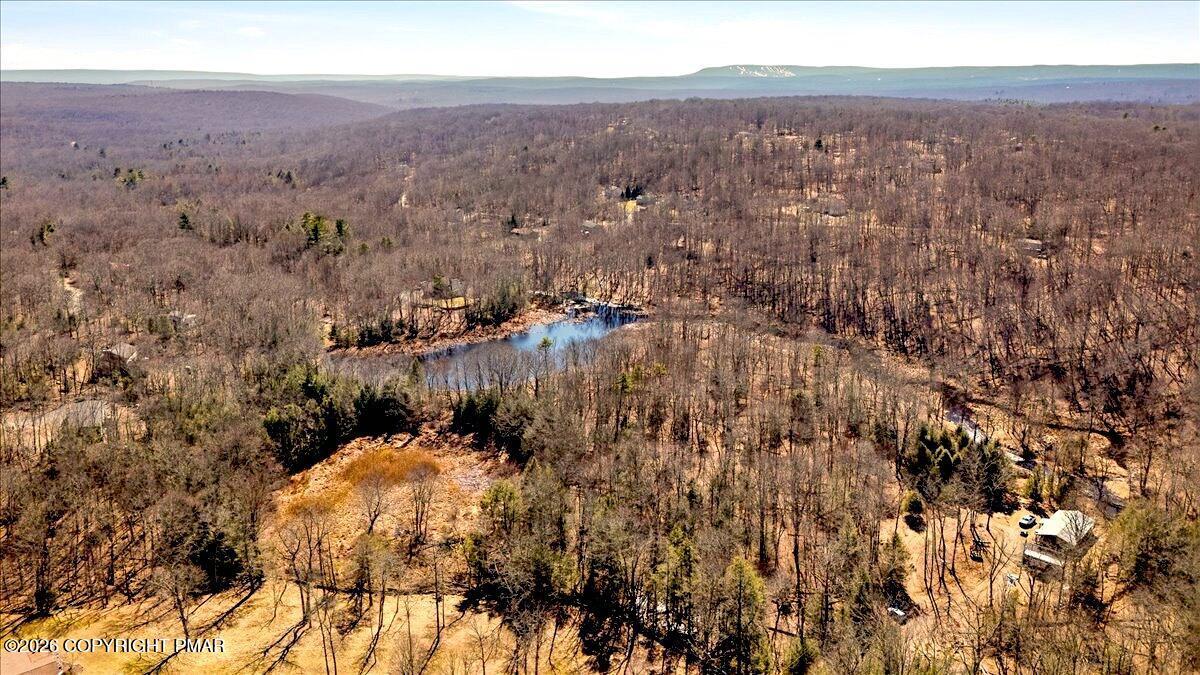 Image 3: 1-HomeView_Media-1374_Spruce_Dr