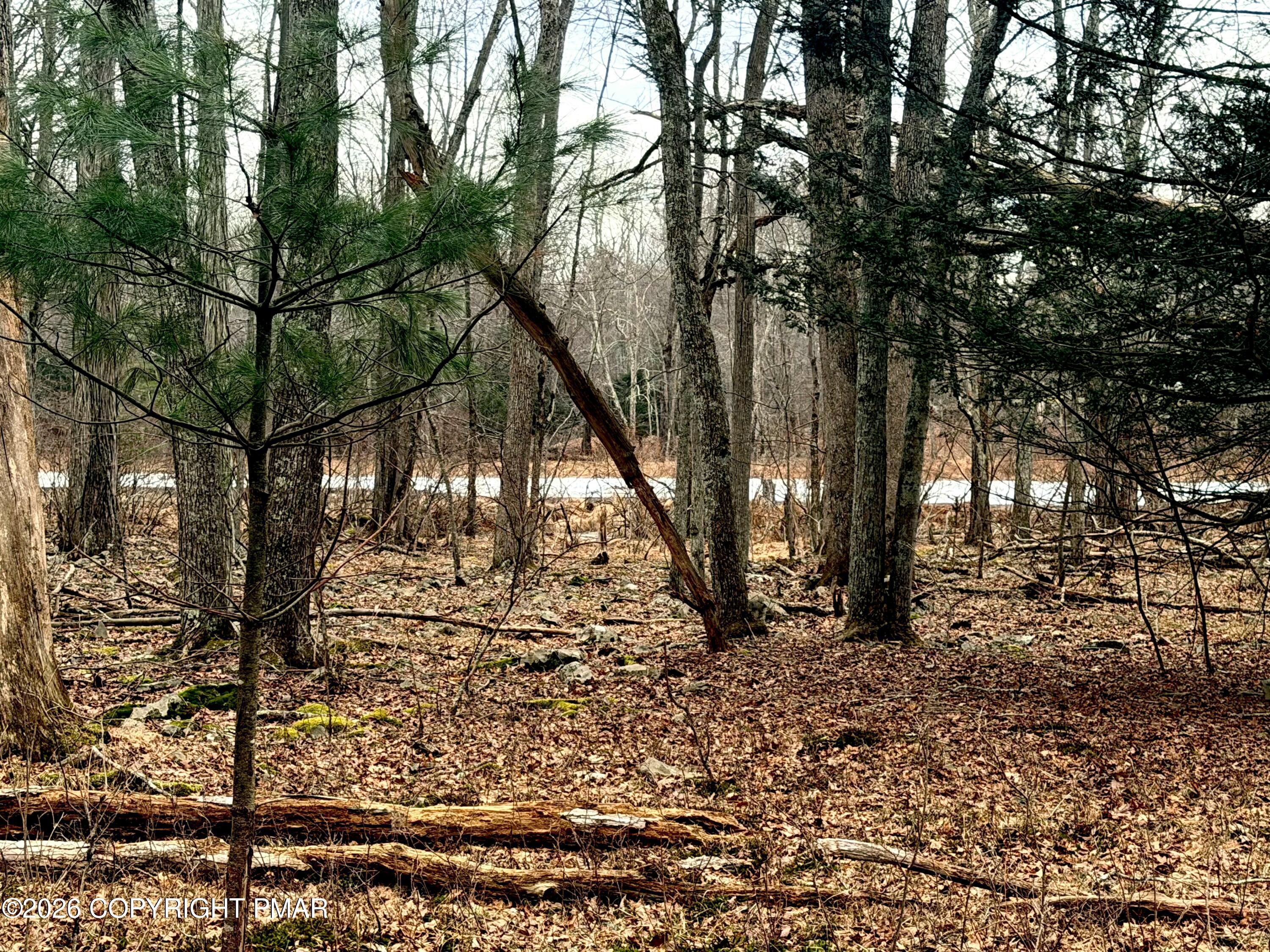 Image 4: Pond