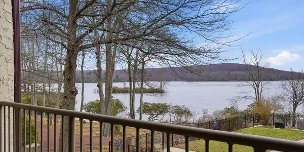 Image 2: lake views