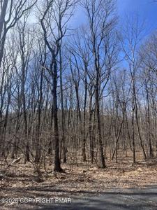 E Creek Drive
