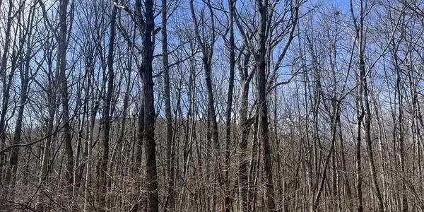E Creek Drive