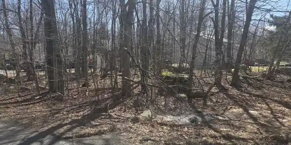 Chipmunk Drive