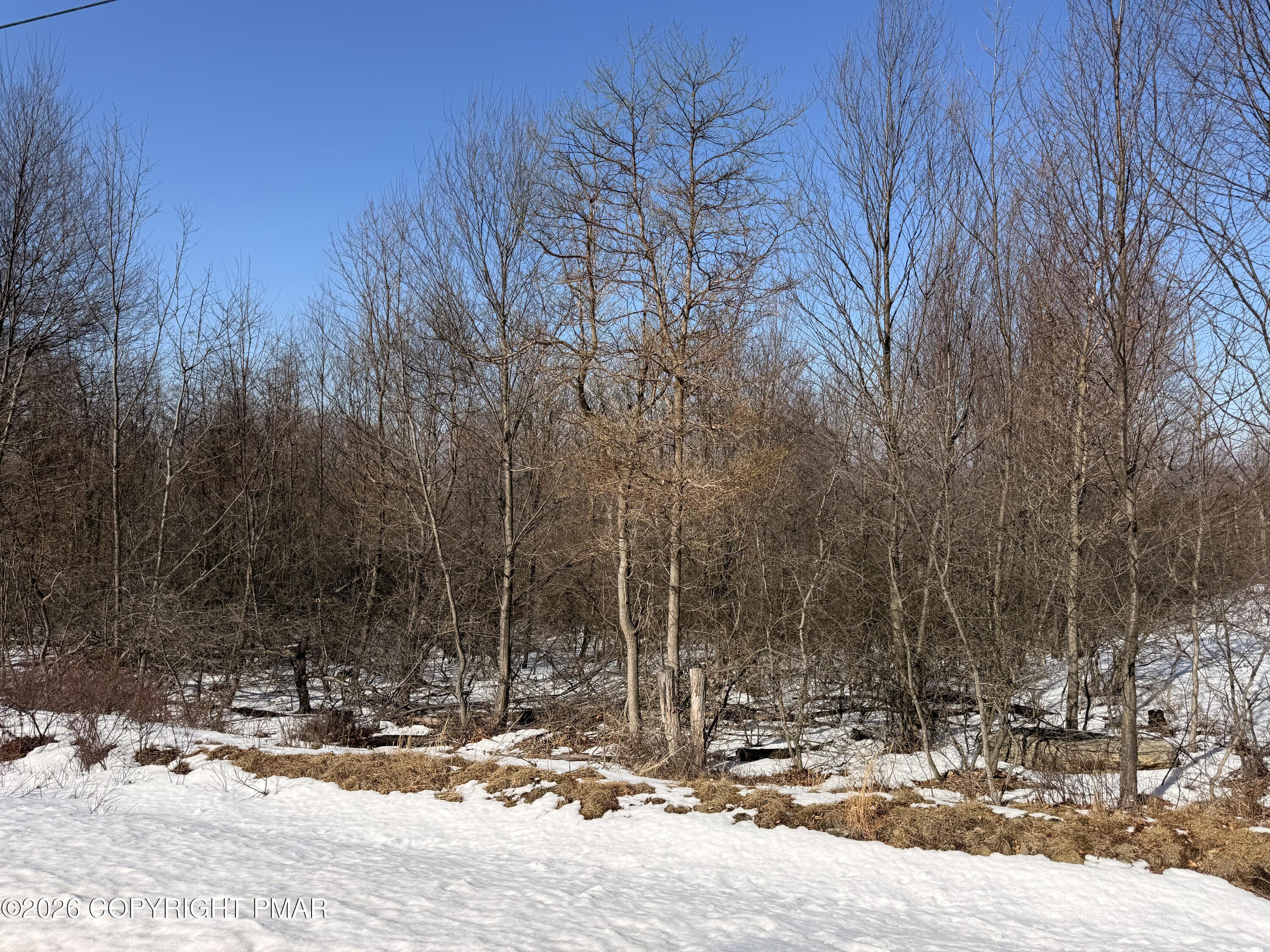 Image 3: IMG_8511