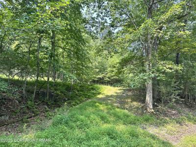 Timber Hill Rd 3C