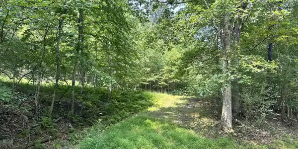 Timber Hill Rd 3C