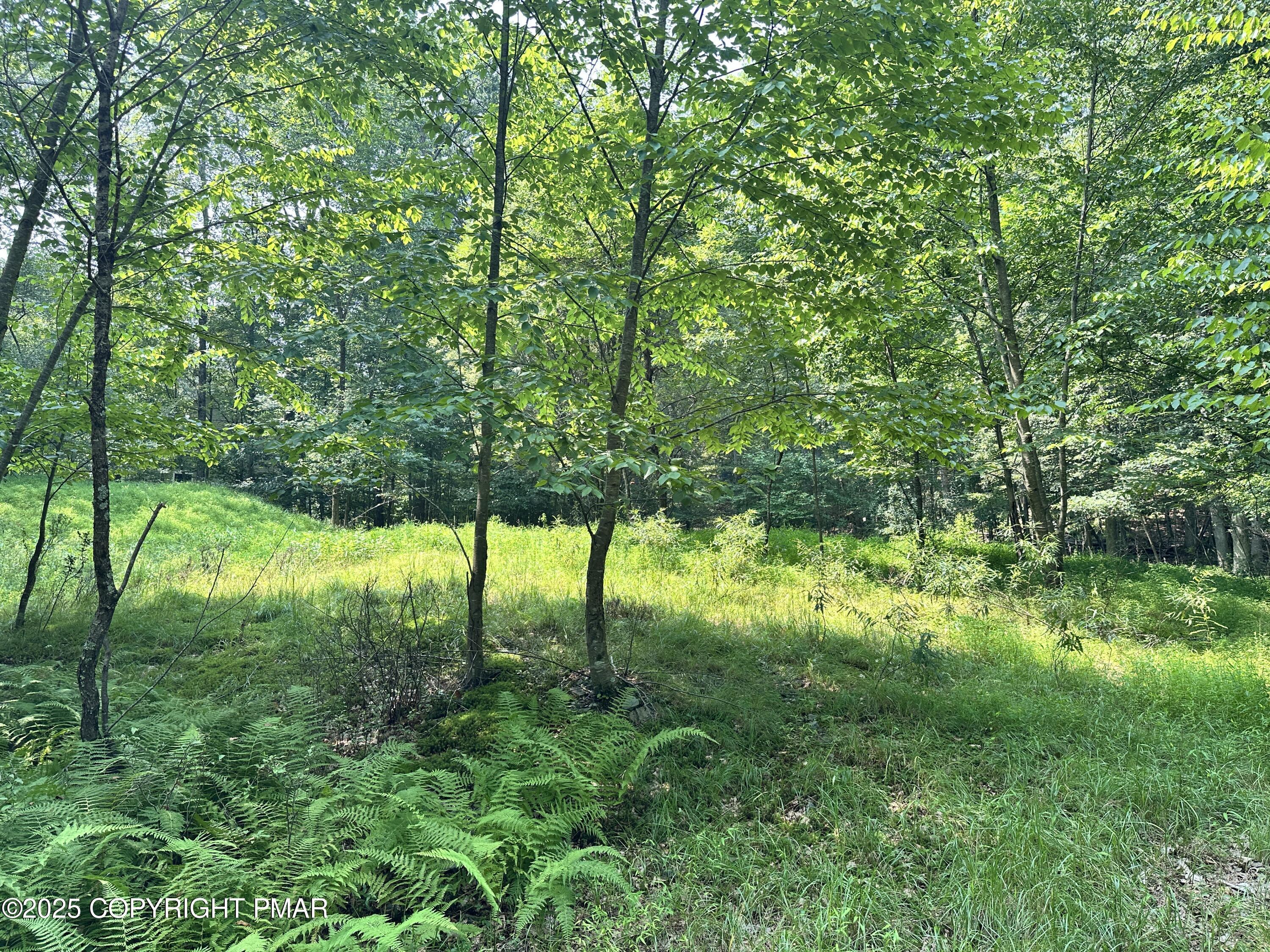 Image 3: IMG_5899