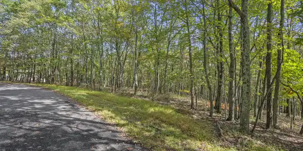 Stone Ridge Road