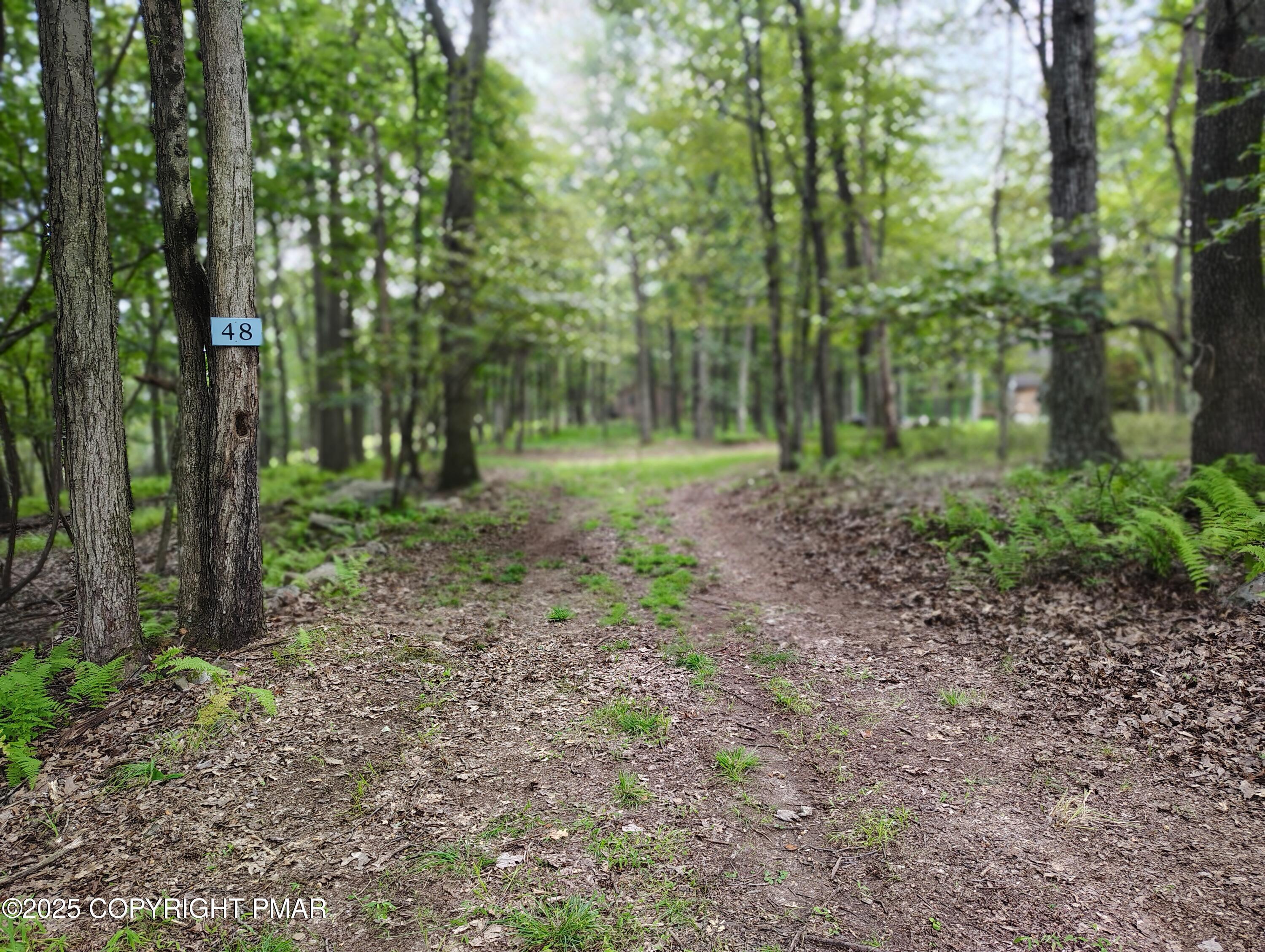 Image 1: IMG_20250815_161305793_HDR_PORTRAIT