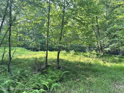 Timber Hill Rd 3C