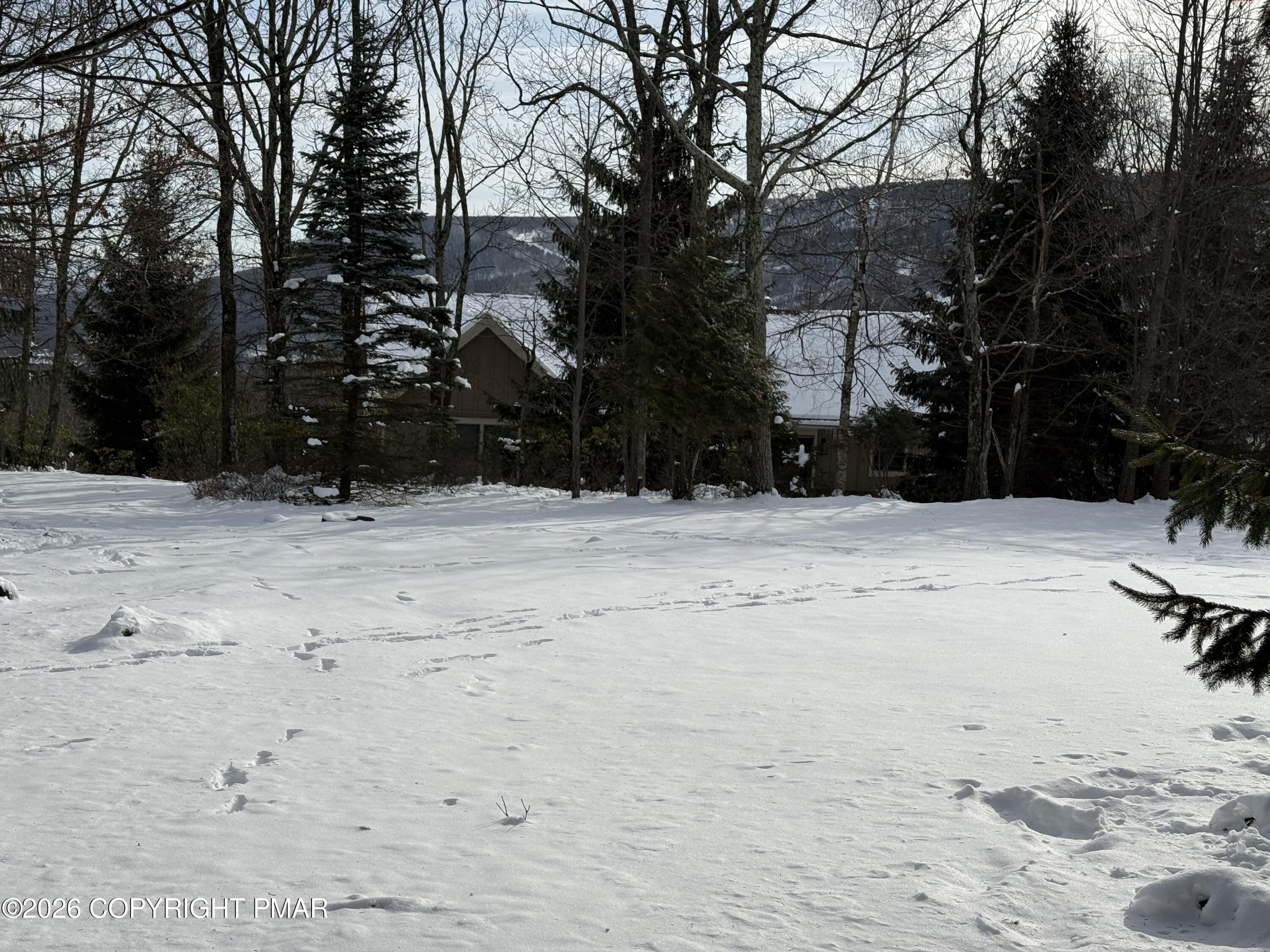 Image 3: IMG_1765