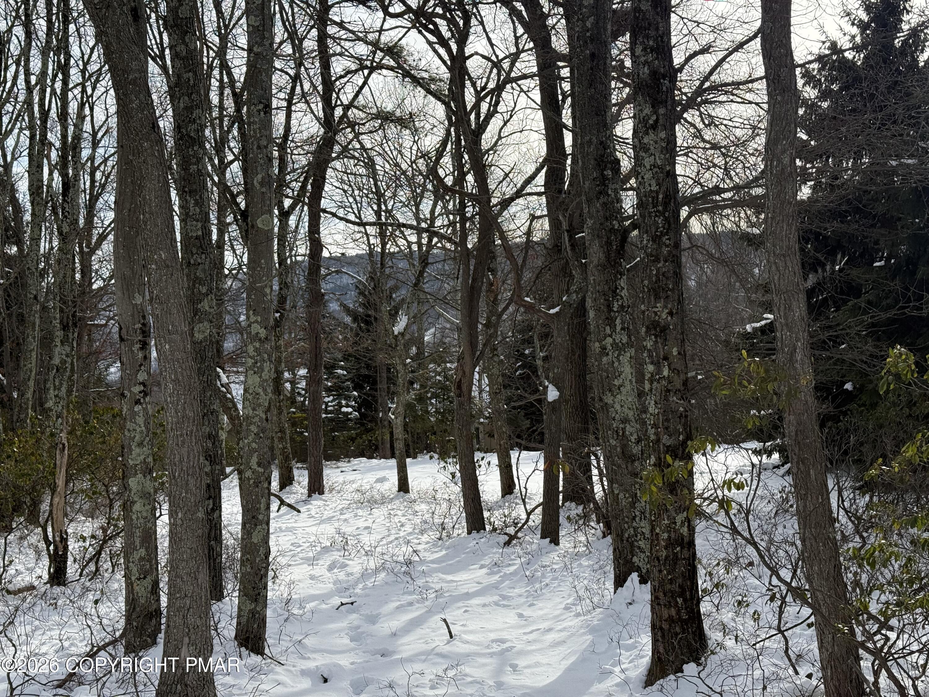 Image 4: IMG_1770