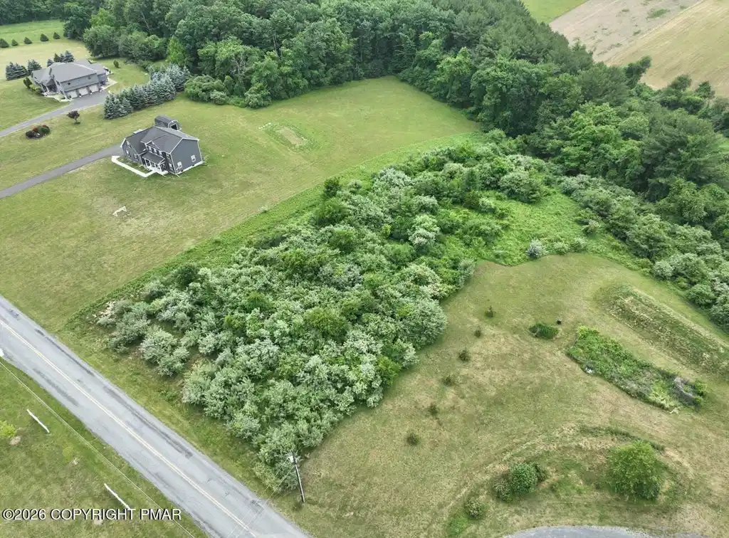Image 1: AerialSilfies5