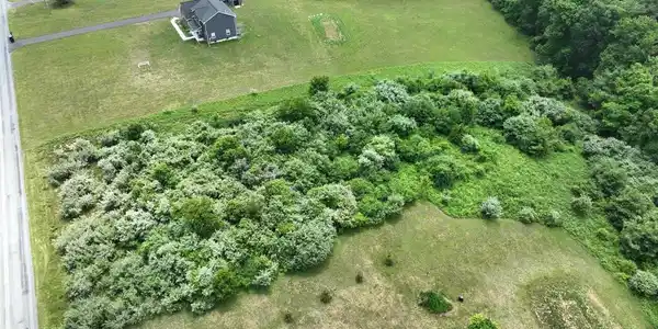 Image 4: AerialSilfies9
