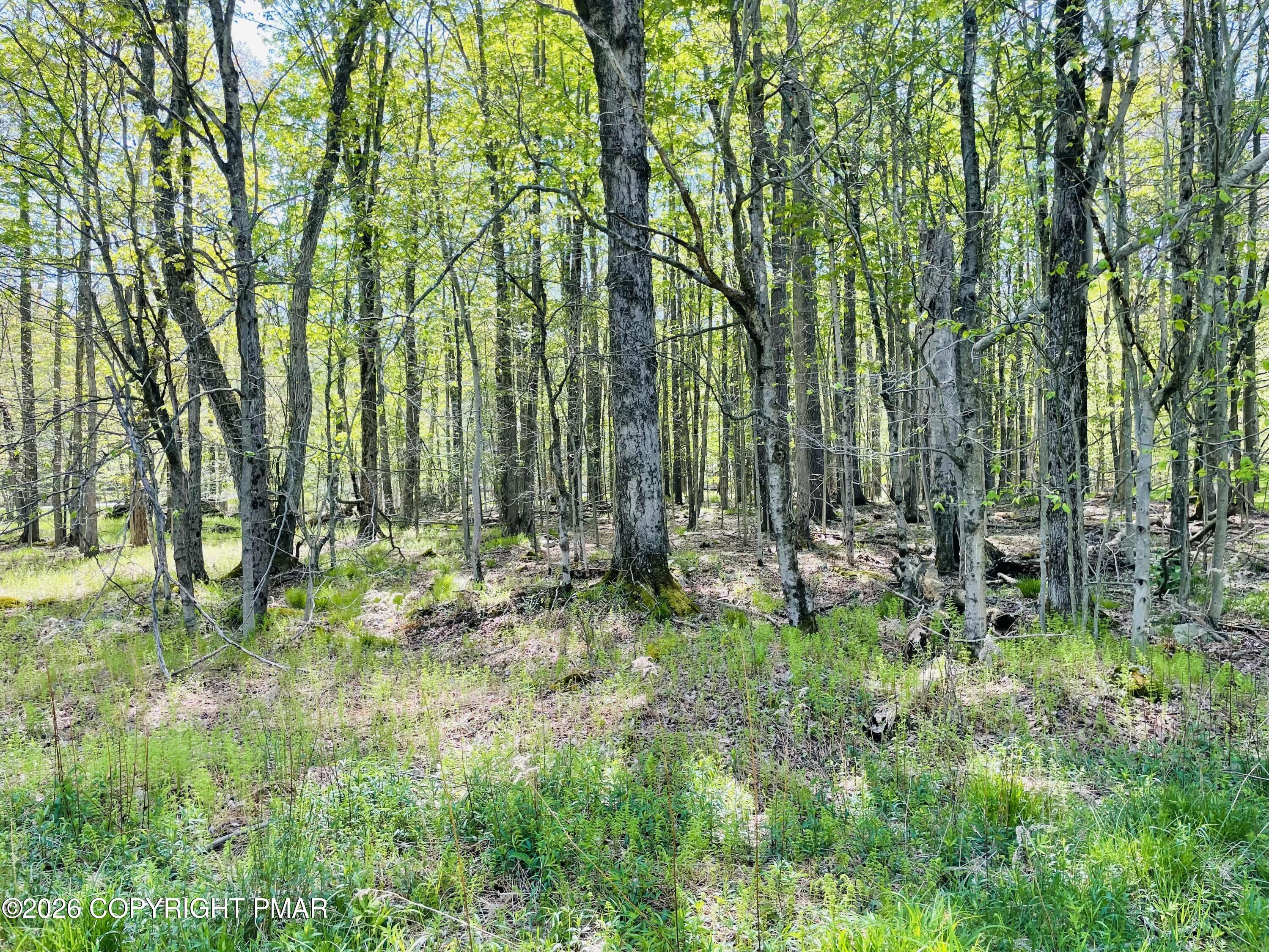 Image 4: IMG_1436