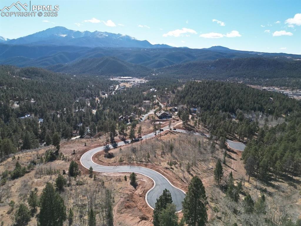 Image 4: Aerial View