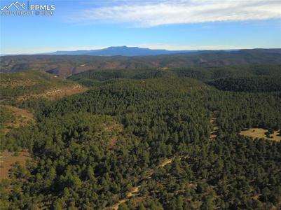 000 Ponderosa Trail