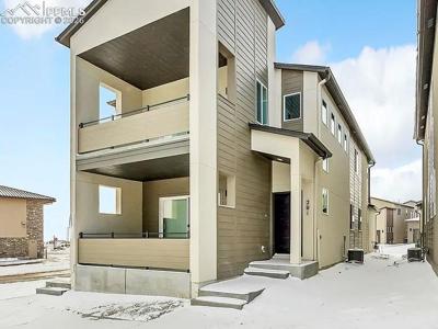 13689 Frost Bitten Grove