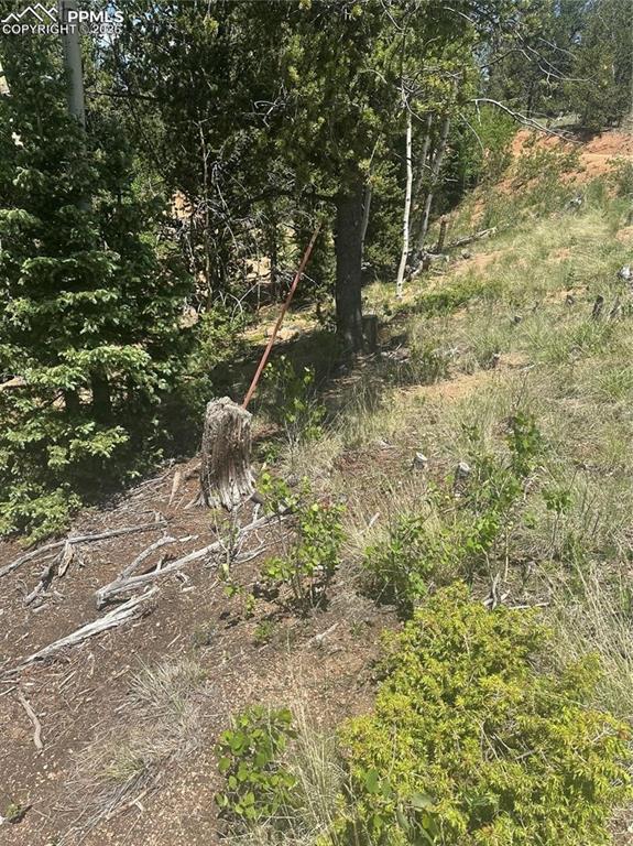 Image 2: View of nature