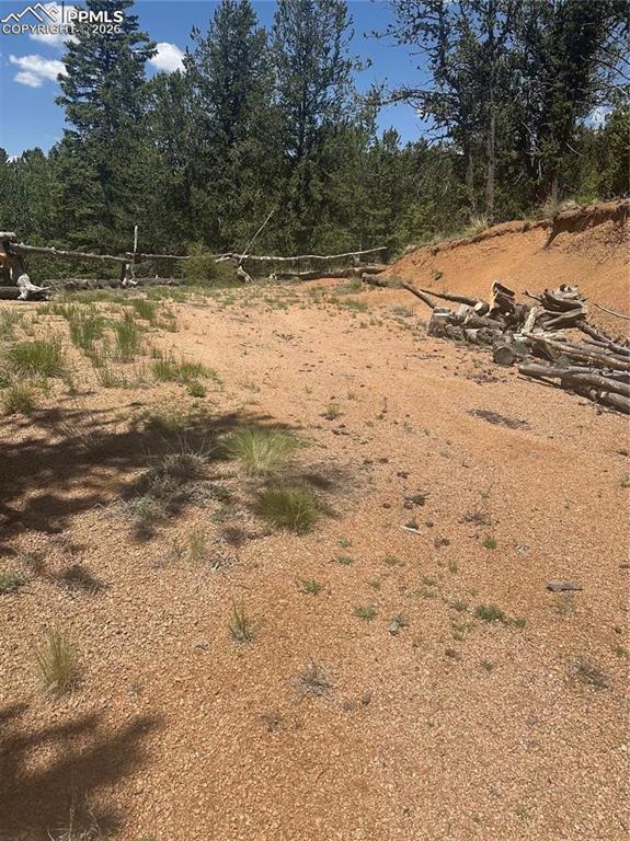 Image 3: View of local wilderness