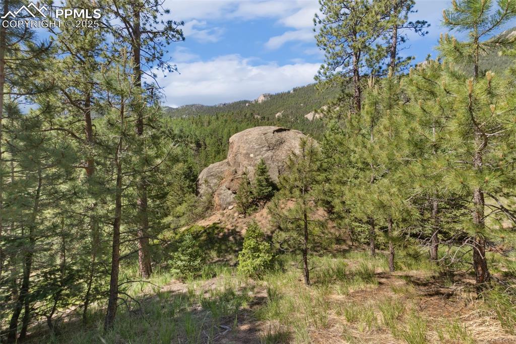 Image 2: Aerial View