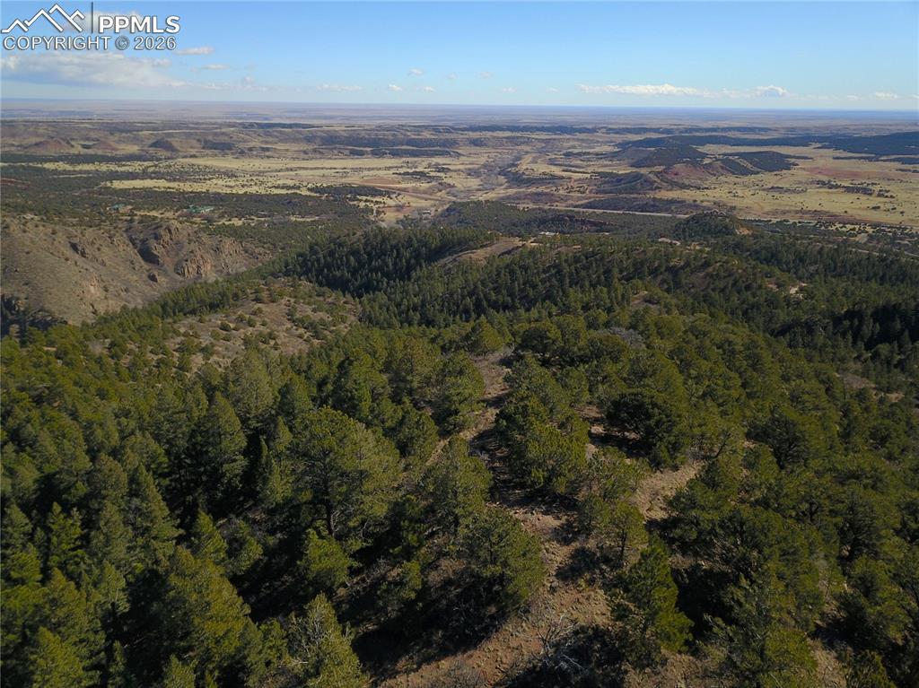 Image 4: Aerial View