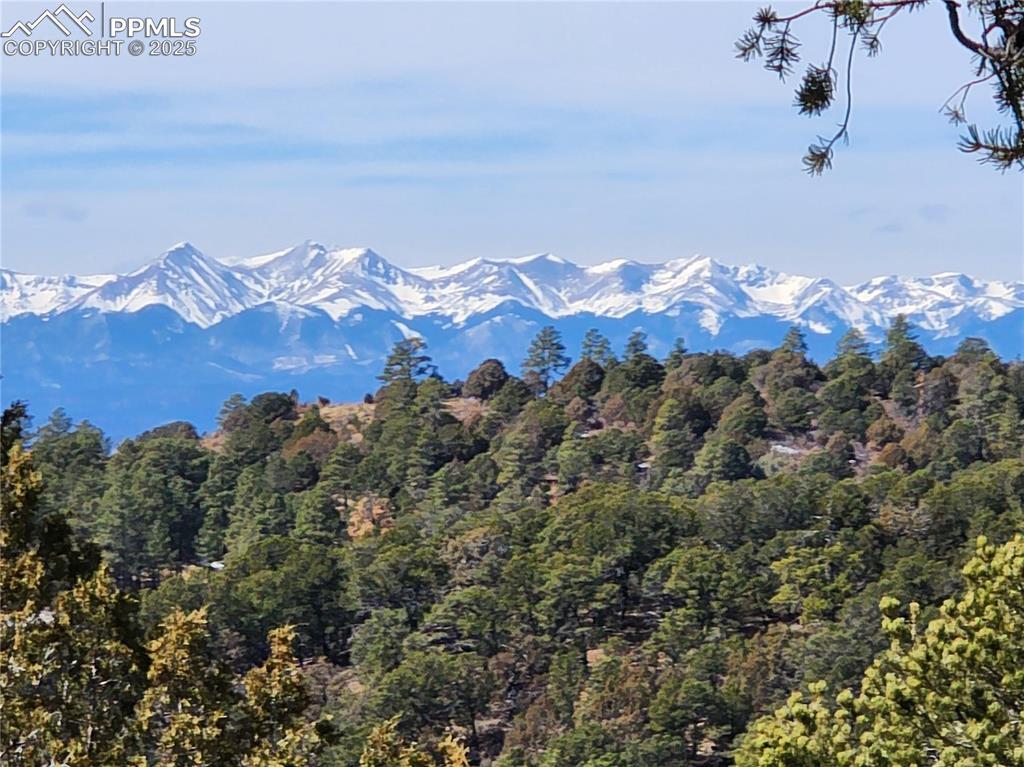 Image 1: View of mountain background featuring a heavily wooded area