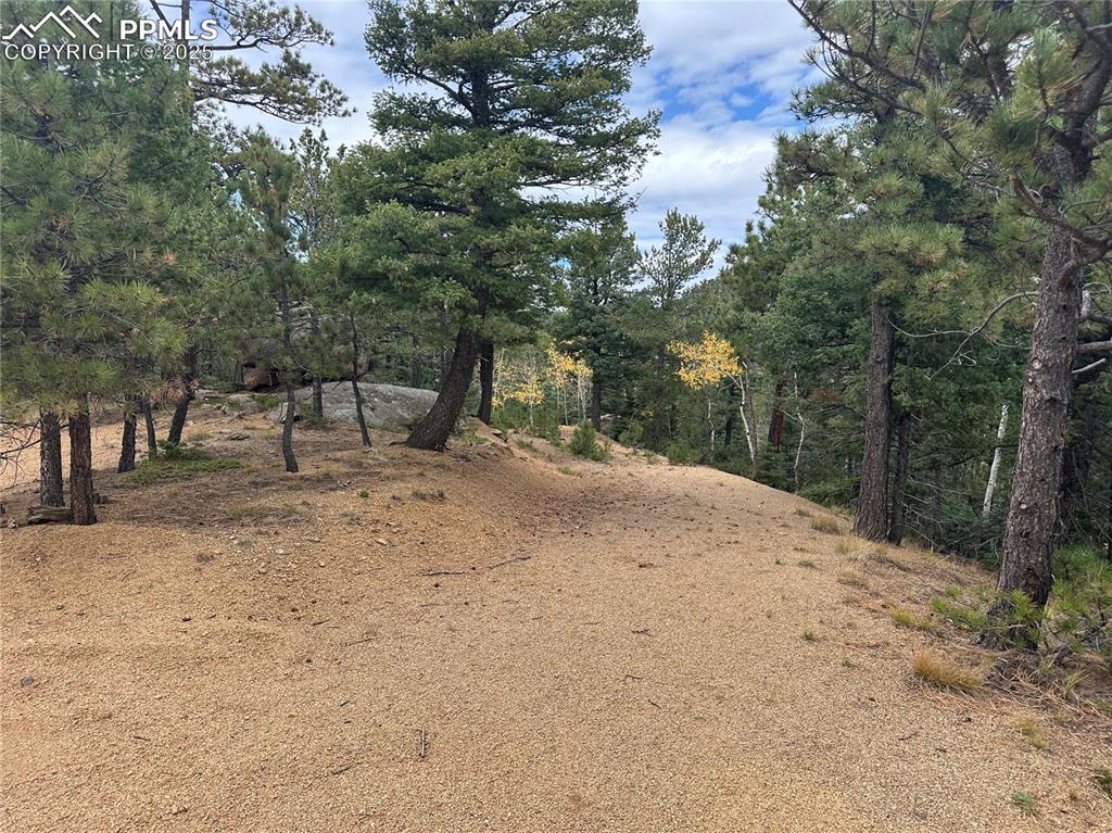 Image 2: Start of the driveway