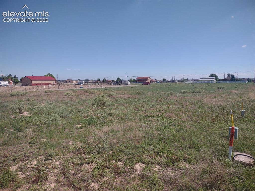 Image 1: Yard