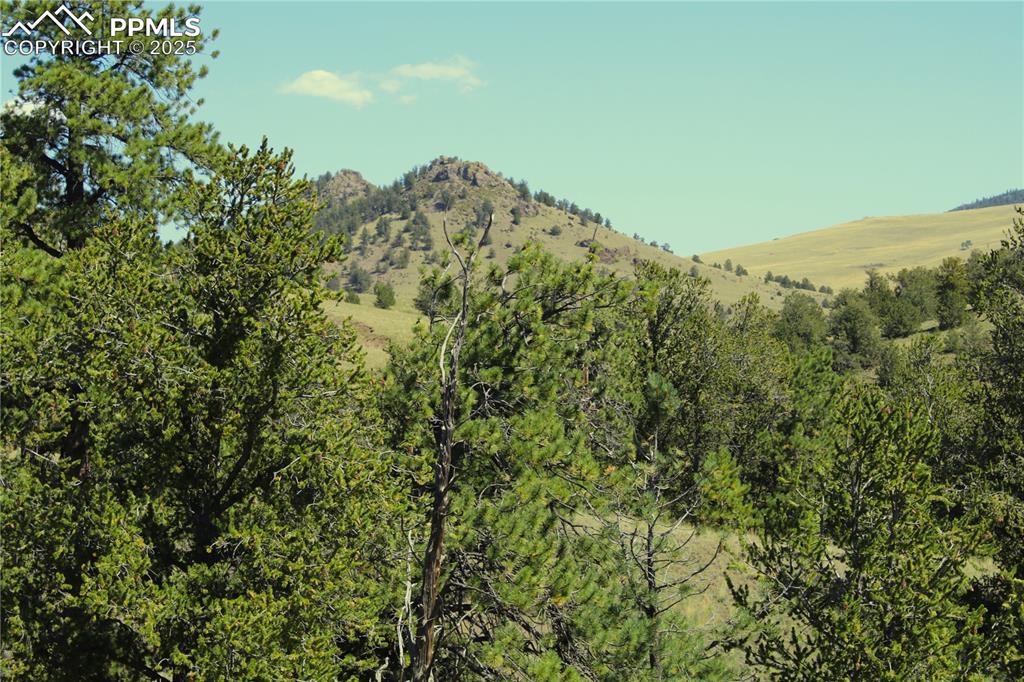 Image 2: View
