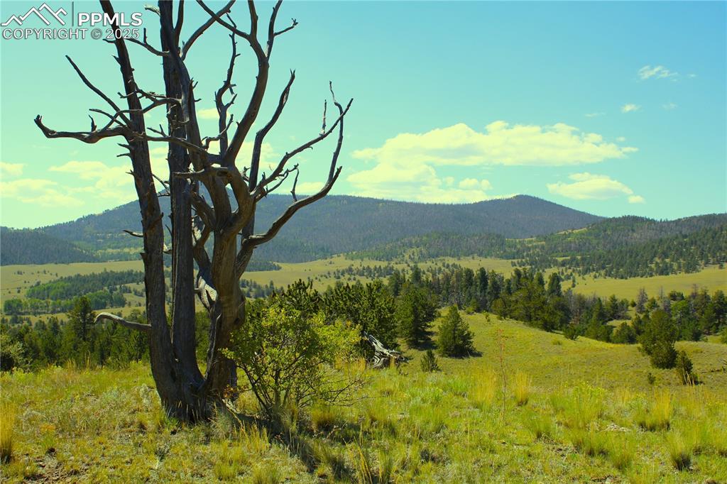Image 4: View