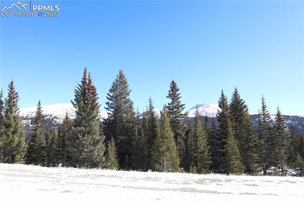 Image 4: View from the street