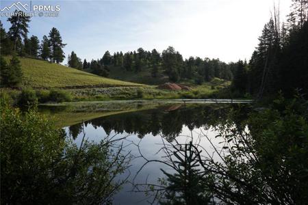 4195 Cedar Mountain Road