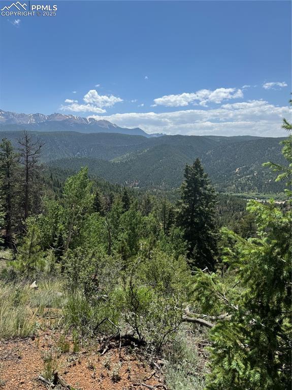 Image 1: View of mountain background featuring a forest