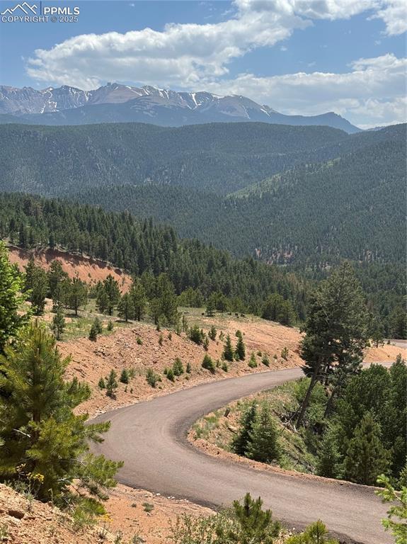 Image 3: View of mountain background with a heavily wooded area