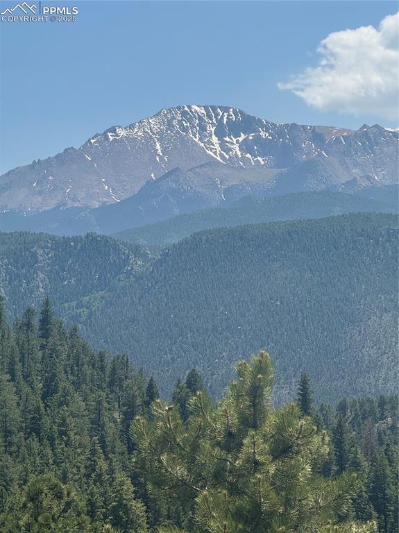 Image 4: Mountain view with a forest