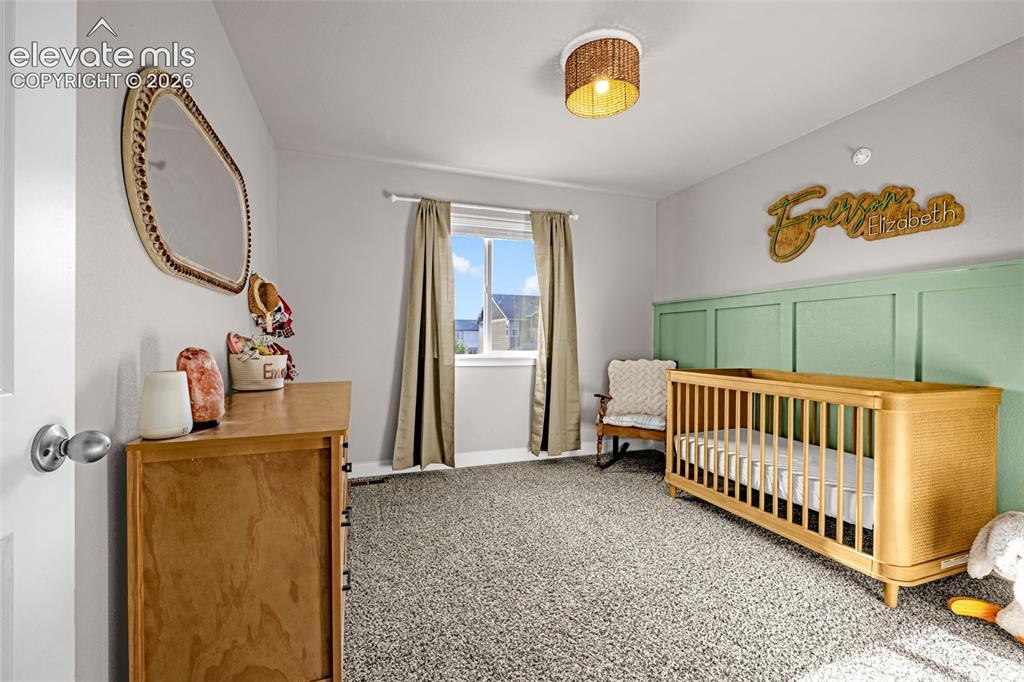 Image 4: Light-filled room featuring plush gray carpeting and a paneled accent wall